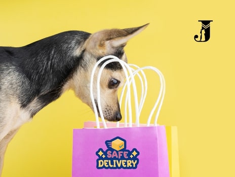 pengiriman-cepat-dan-aman-jangki-petshop-min