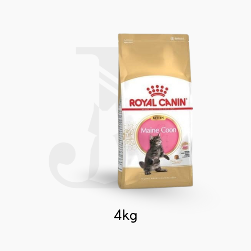 Royal canin cat Kitten Maincoon 4 kg