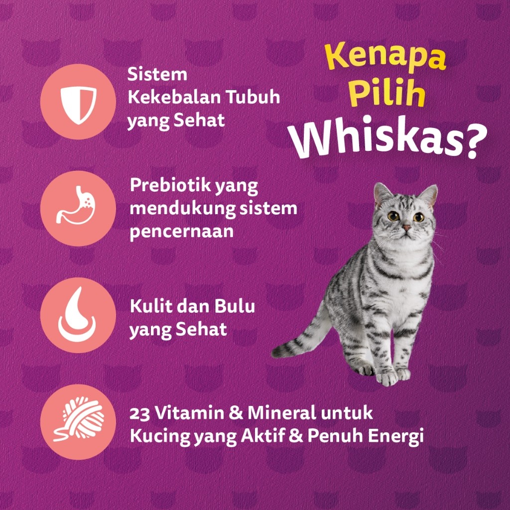 WHISKAS Makanan Kering untuk Kucing Dewasa Pilih Rasa 1.2kg - Gambar 3