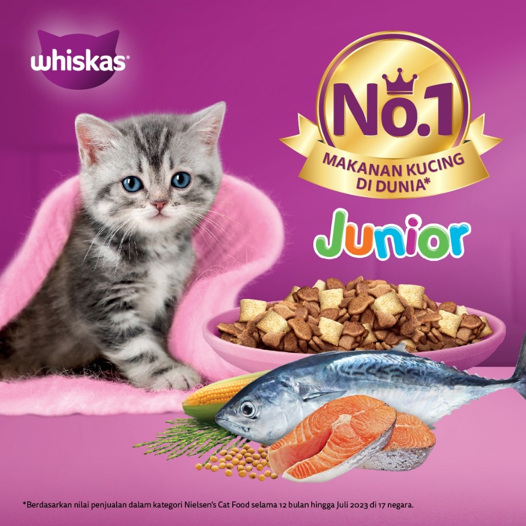 WHISKAS Junior Makanan Anak Kucing Kering Pilih Rasa 1.1kg - Gambar 2