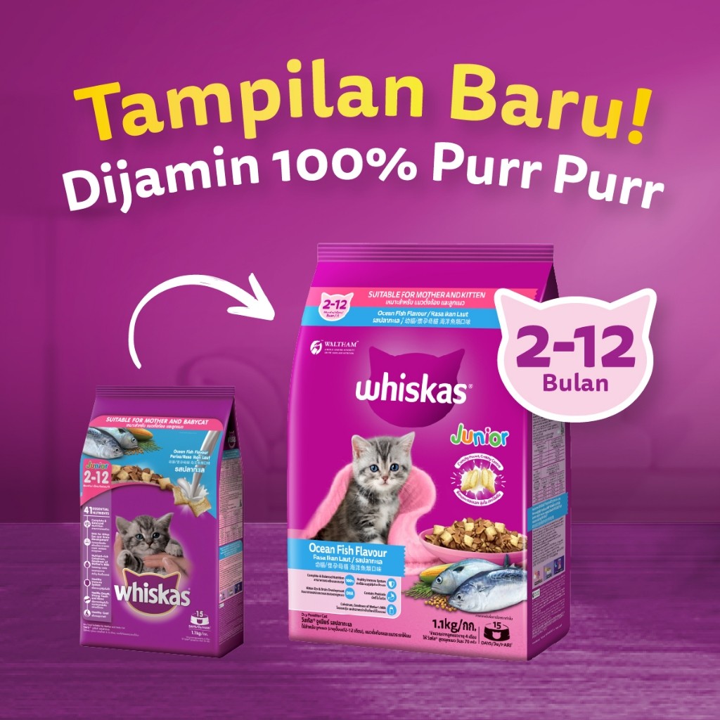 WHISKAS Makanan Kering untuk Anak Kucing Rasa Ikan Laut 6.5kg - Gambar 7