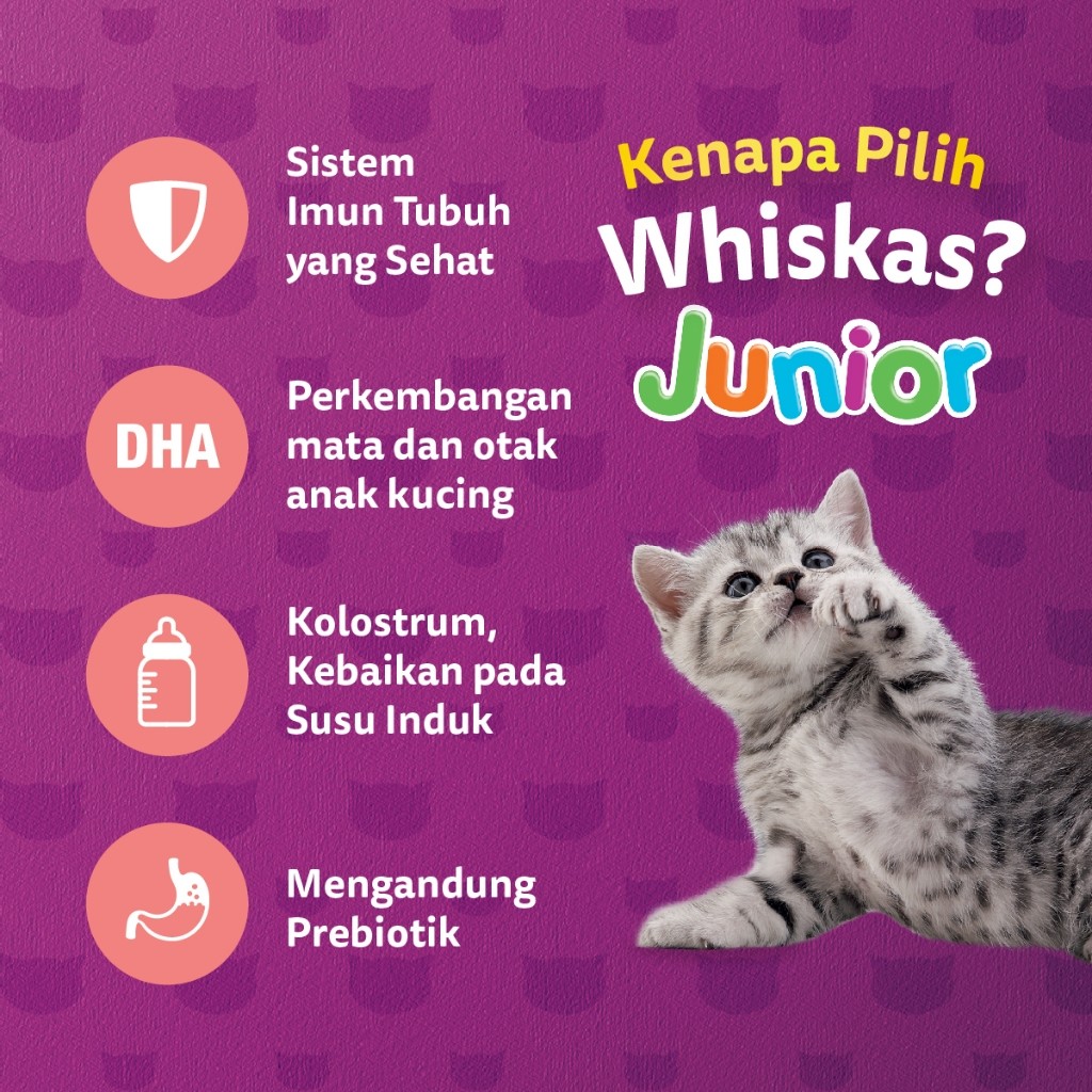 WHISKAS Junior Makanan Anak Kucing Kering Pilih Rasa 1.1kg - Gambar 3