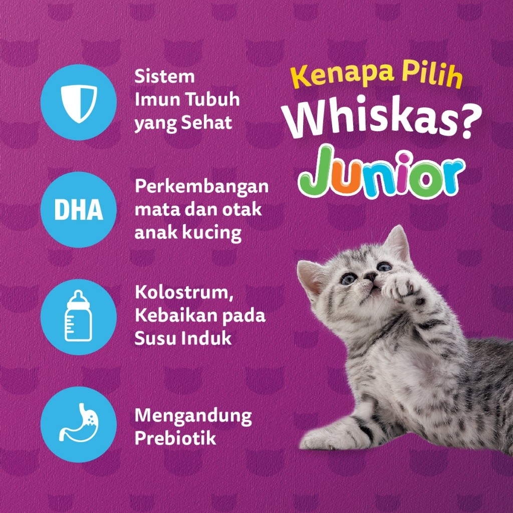 WHISKAS Makanan Kering untuk Anak Kucing Rasa Ikan Laut 6.5kg - Gambar 3