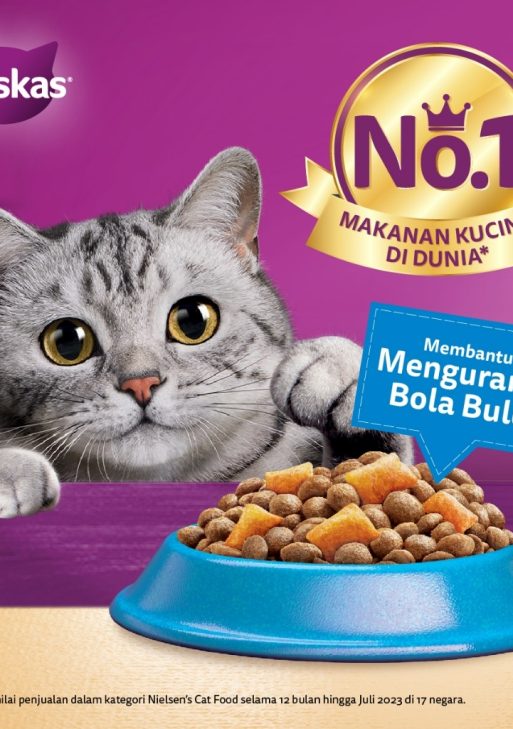 Whiskas Fungsional Makanan Kucing Kering Pilih Varian 450g