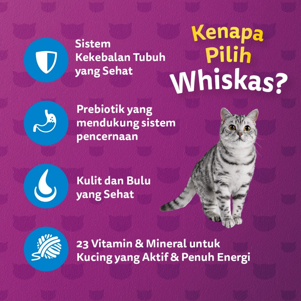 WHISKAS Makanan Kering untuk Kucing Dewasa Pilih Rasa 480gr - Gambar 3