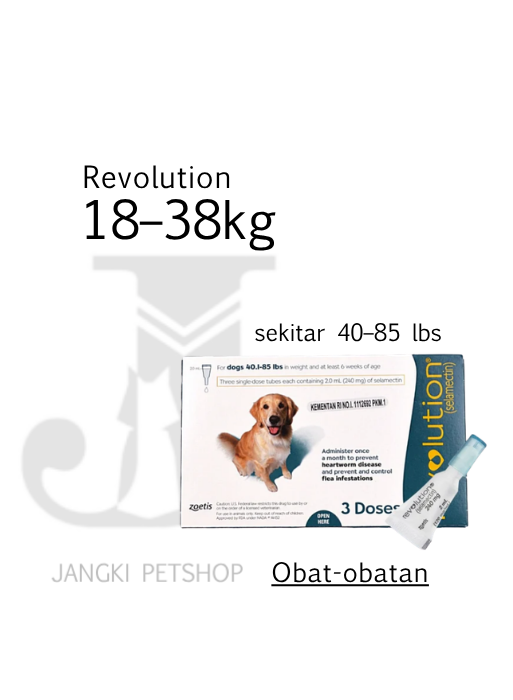 Revolution Dog 40 - 85 lbs (Teal) - Obat Hewan Anjing 40 - 85 lbs