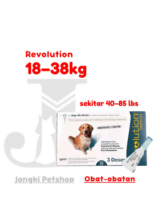 Revolution Dog 40 - 85 lbs (Teal) - Obat Hewan Anjing 40 - 85 lbs