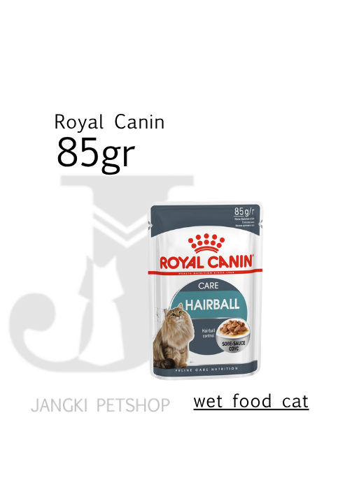 Royal Canin Hairball Care (85gr) Pouch Cat Food - Feline Care Nutrition