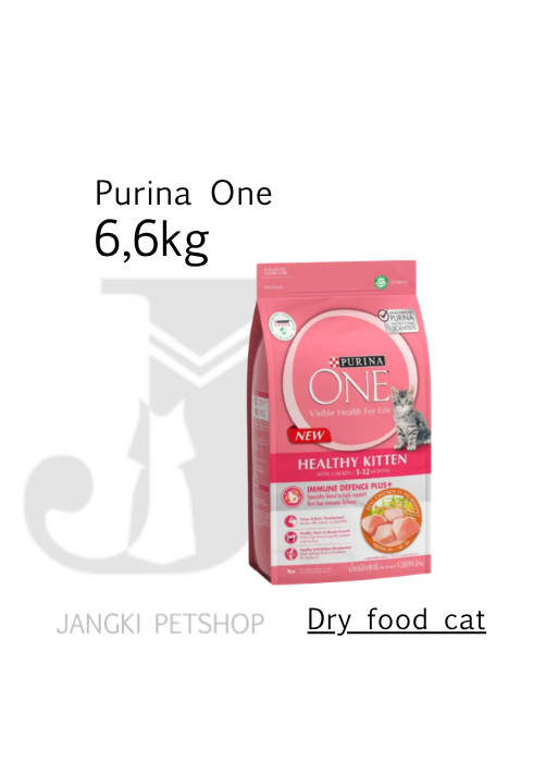 Purina ONE Kitten Chicken 6,6 kg - Makanan Kering Kucing 6,6 kg