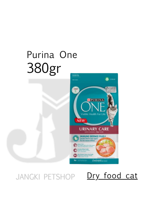 Purina ONE Urinary Chicken 380 gr - Makanan Kering Kucing 380 gr